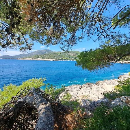 Apartments Franic Saplunara Εξωτερικό φωτογραφία